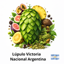 Lupulo Victoria Nacional 2