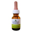 Lupulo Nugget Nacional 3