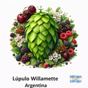 Lupulo Willamette 2