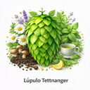 Lupulo Tettnanger 2