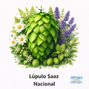 Lupulo Saaz 2