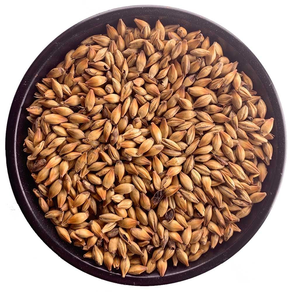 Malta Caramelo 30 (25, Entero)