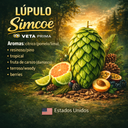 Lupulo simcoe