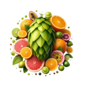 Kit insumos citra lupulo cerveza artesanal