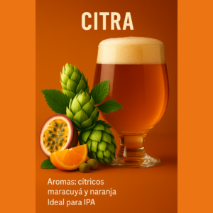 Kit insumos citra lupulo cerveza artesanal